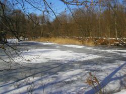 neige-mars.JPG