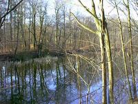 chalet-etang2.jpg